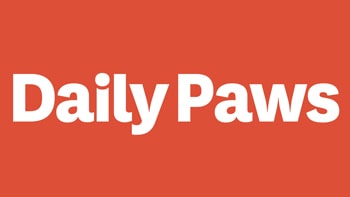daily paws logo