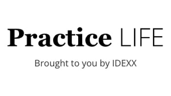 practice life logo